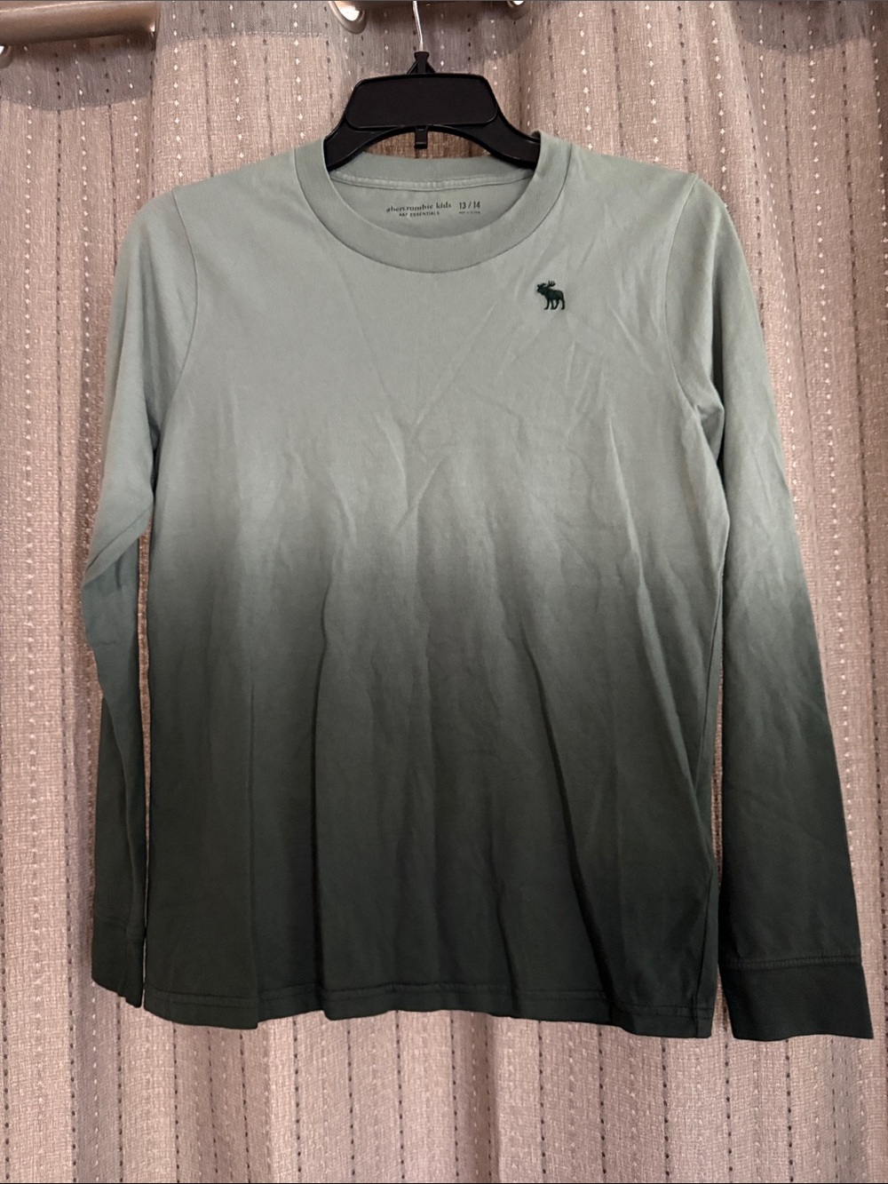 Kids Abercrombie & Fitch Green Ombre Long-Sleeve Crewneck Tee